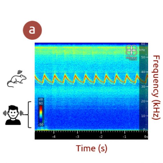 Improve leak detection in noisy environments with the spectrogram, Distran