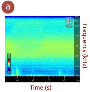 Improve leak detection