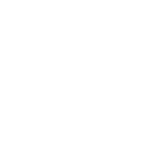 Distran logo white